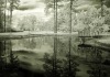10 of 20 - Infrared Pond